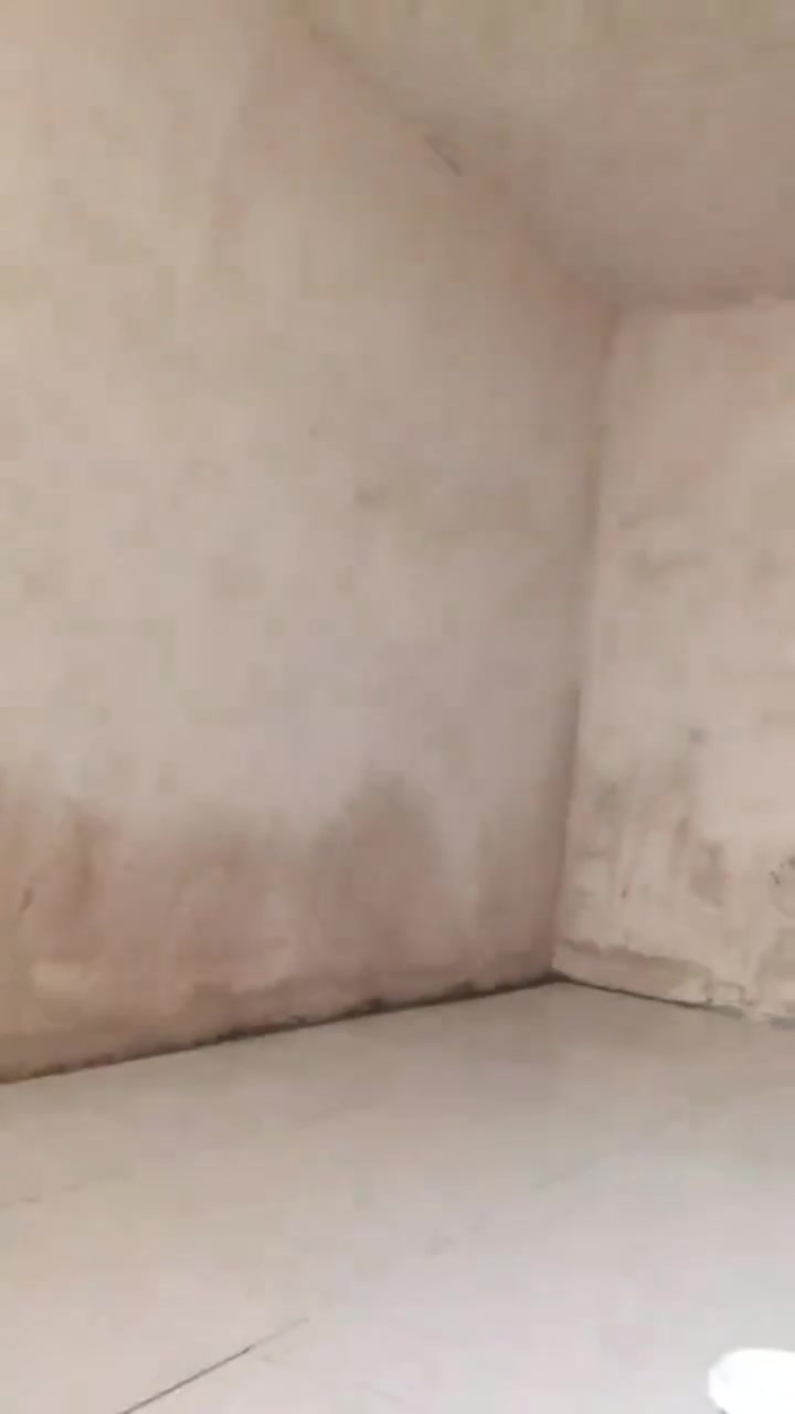 السلام عليكم. خلفه ابو محمد الخالدي
لبخ سمنت جص بورك سيراميك كاشي بناء طابوك بناء بلوك ترميم تفليش صبغ لبخ واجهات تطبيك ارضيات مقرنص كافه العمل نشتغل سرعه ونظافه #حالين_فارغ اتصل وخادم ***********
