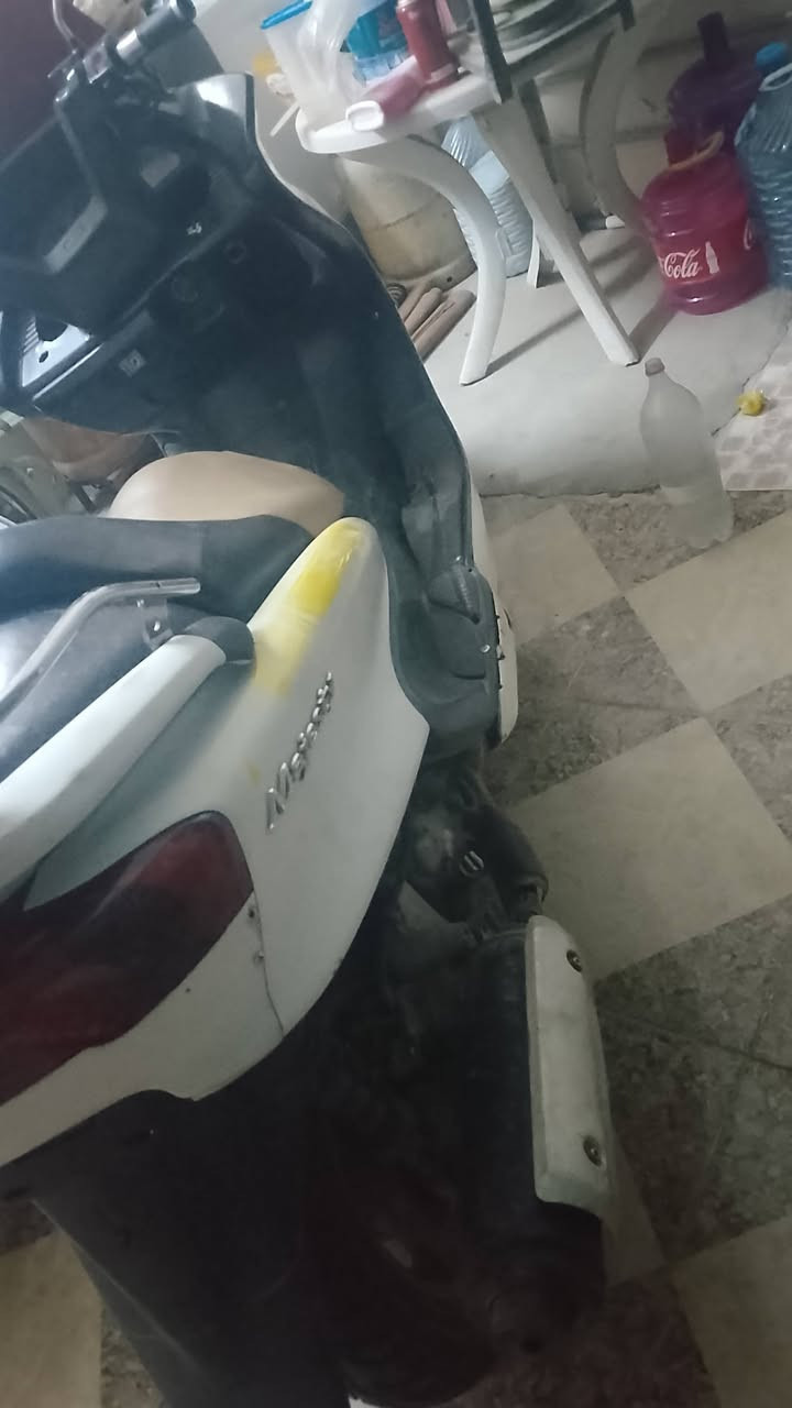 ماجستا للبيع او مراوس حسب القناعه مكان كركوك حي الخضراء ***********
