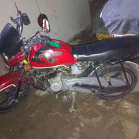 بوكسر جبلي • مديل 20 • أوراق أصلية