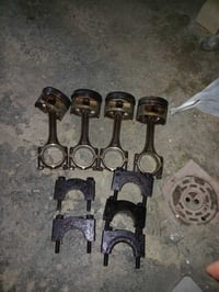 سلندر فيرنا • بساتم • اذرع