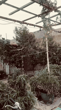 سلام عليكم نامه شلامجه البيع موديل 23طالعه بشهر 11اوراق 5 مال شلامجه العنوان حي المام علي ***********السعر خاص او الرقم كيان العز
