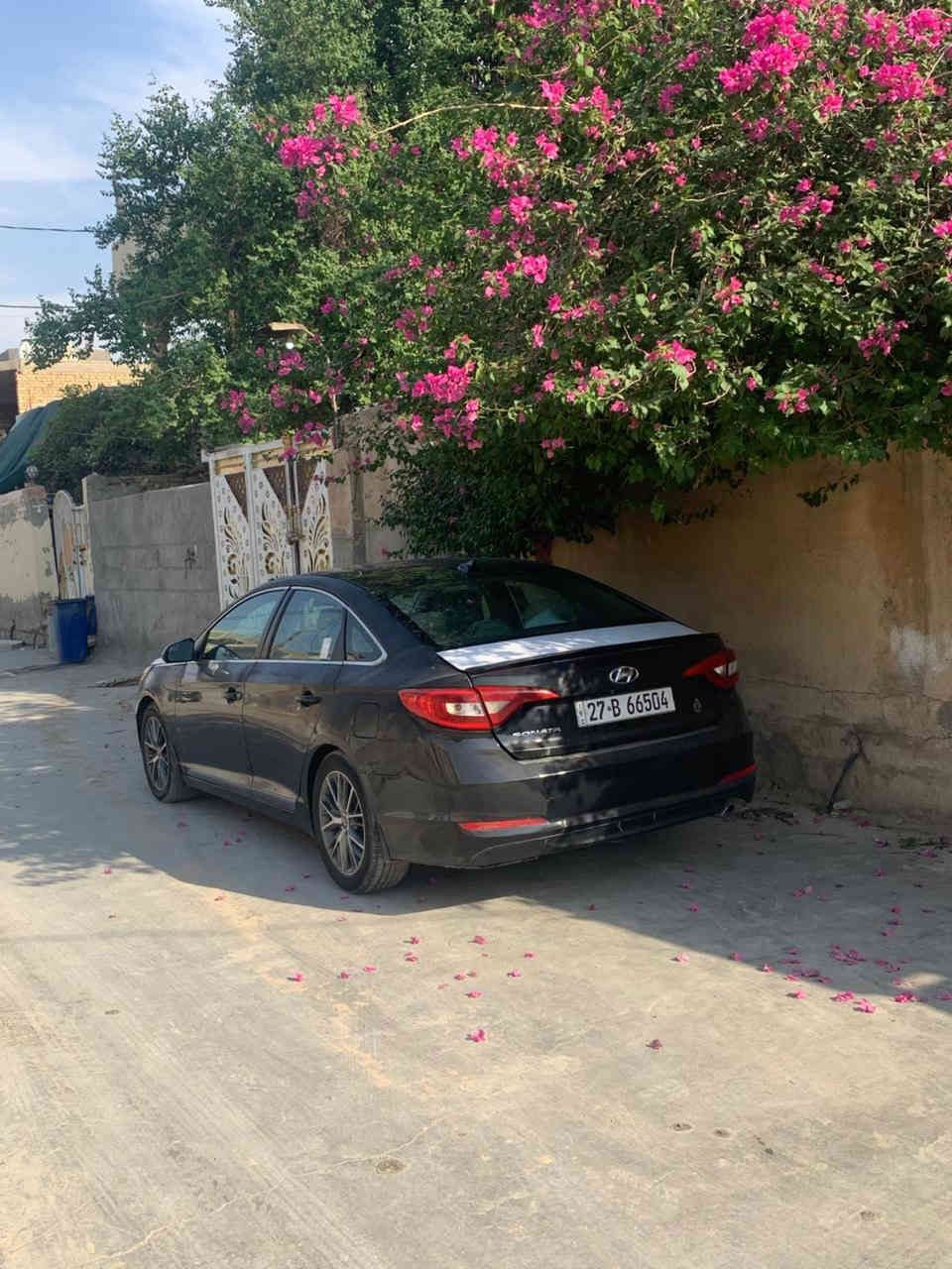 سلام عليكم
سوناتا موديل 2017 وارد امريكي 
رقم ذي قار باسمي تحويل مباشر
تبديل جاملق جهه السايق الباقي
ليبل واحد السياره جاهزه من كلشي 
اتصل و بيك خير و تدلل ***********
