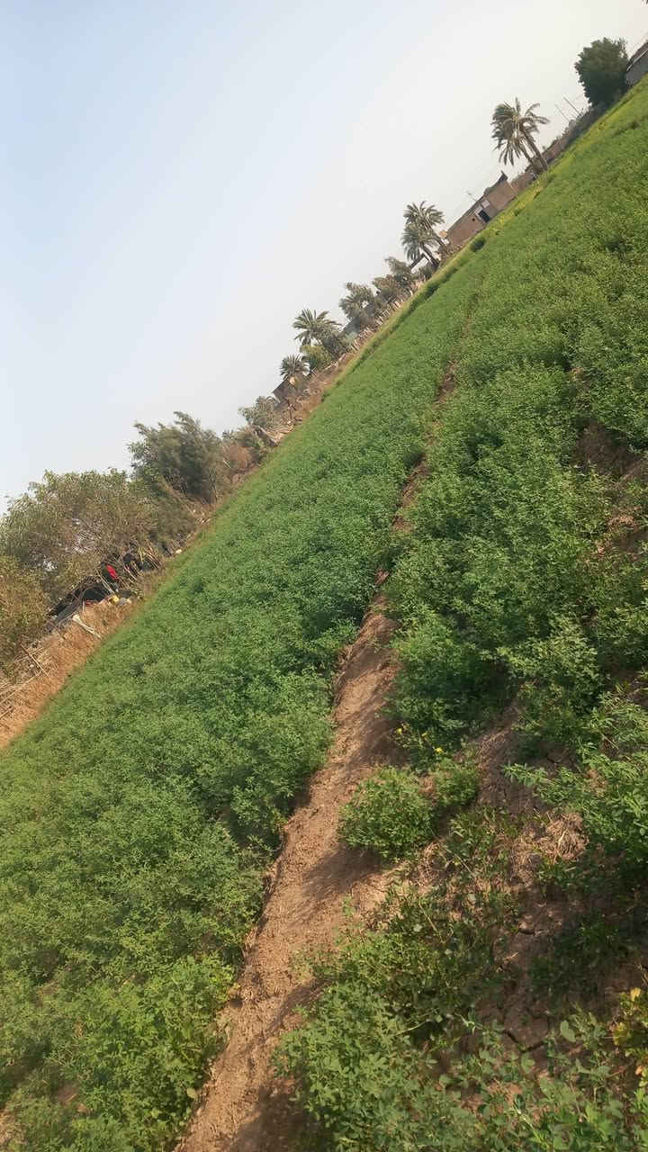 07803o50471


**إذا كنت صاحب هذا الإعلان وتريد حذفه لأي سبب، رجاءا أرسل رسالة إلى الدعم الفني**