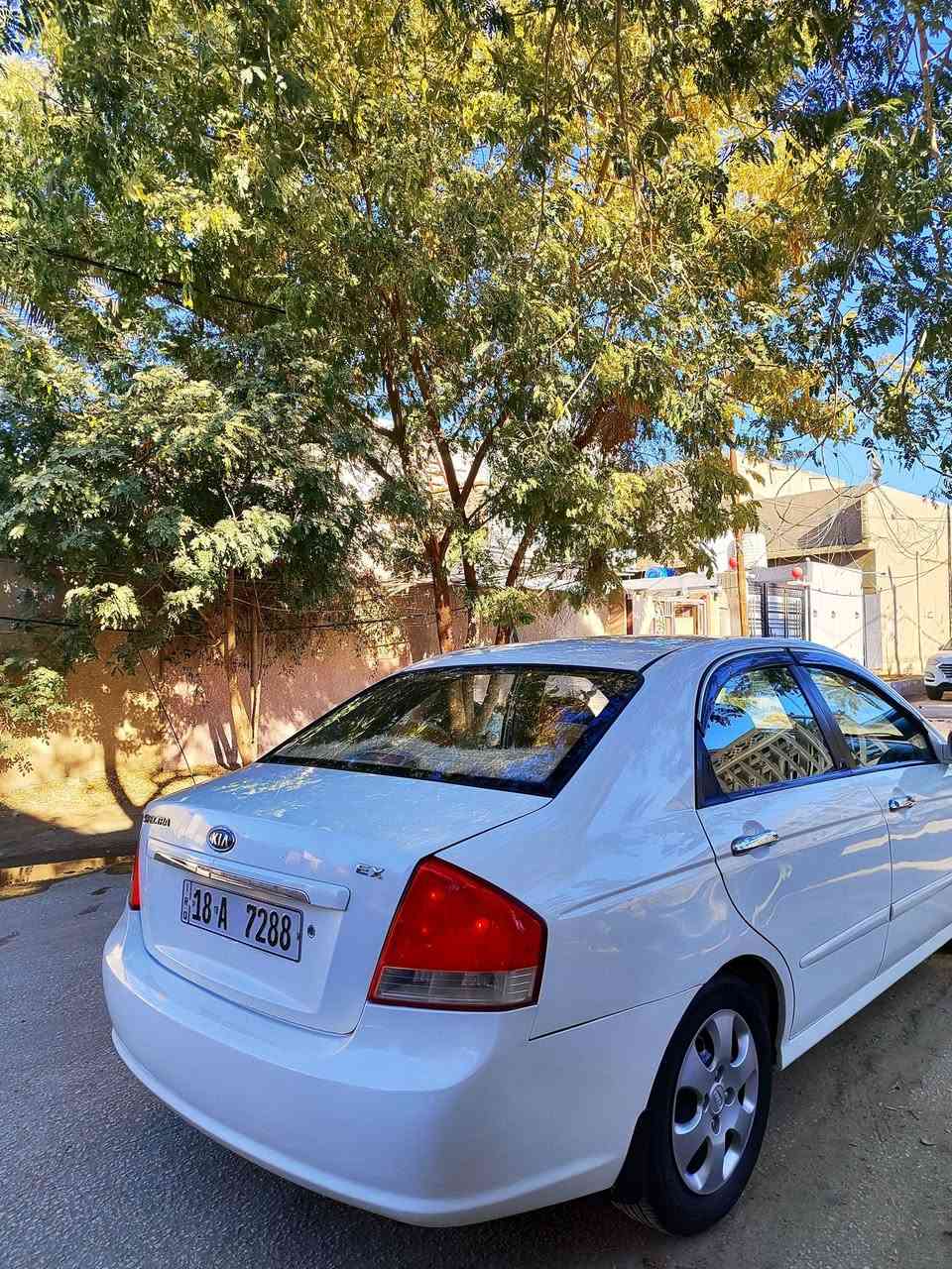 سلام عليكم سبكترا موديل2007 رقم بابل سنويه2027تحويل مباشر مشروع وطني محرك2000جديد كير ومكينه وحداديه كله جديد تبريد بيها كم قطعه صبغ ابيع حزام بدون حادث سياره كلش حلوه 
مكاني: كربلاء 
للاستفسار:***********
السعر:85وبيها مجال للشراي
