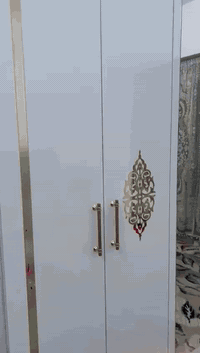 سعر ٥٠٠   ٠٧٧٢٥٧٧٦٦٩٤اتصال +واتساب