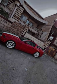 ويل • مراوس • حجم 20