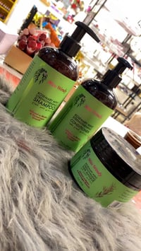 كركوك • مول حاج زياد • سله بيتي