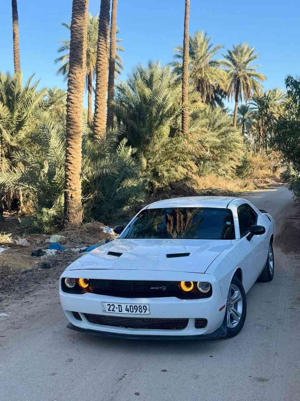 اخوان السلام عليكم

للبيع فقط بيع جالنجر موديل ٢٠١٦

محرك ٣٦٠٠ كير مكينه كفاله

حداديه اماميه هلفي جديد

ماشيه ١٢٠الف

السياره جاملغ جهت سايق ولبنيد مبدلات نفس الون اصلي وكاله يعني السياره حاليا بدون صبغ

وبيها بارد كد شبر جهت الصدر بلجاملغ الامامي

والشوااصي كفاااااله من الطخه شرط فقط لغد جهت السايق بي تعمير فقط بدايته

والسياره جاهزززه من كلشي وبالعافيه ع ياخذها

سعرها١٣٥ بي مجال بسيط لحد يكسر بلسعر رجاء

وصور الحادث بلمنشور ومكاني بلديوانيه

للاتصال ***********
