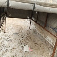 قمري • أبواب تنفتح • بغداد مدينة صدر