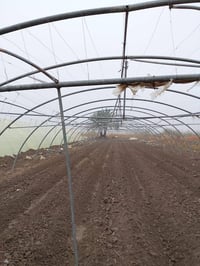 بيوت بلاستيكيه • أردني ولبناني • بابل جبله