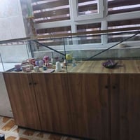كبيرة جدا • خشب أصلي • درجة أولى