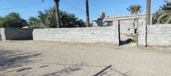 السلام عليك 
يوجد لدينا دونم بيه بيت بسيط مكون من صاله وغرفة نوم ومطبخ وحمام الدونم صايره مباشر على التبليط وجميع الخدمات موجوده ماء اساله وماء نهر وكهرباء ومدارس وأسواق وقريبه على نهر دجلة العنوان واسط قضاء الزبيديه منطقة أم سنيم 
طابو زراعي سند ٢٥ 
السعر جداً مناسب ٢٠ مليون وبيه مجال قليل لان مستعجل على البيعه مالته ***********
