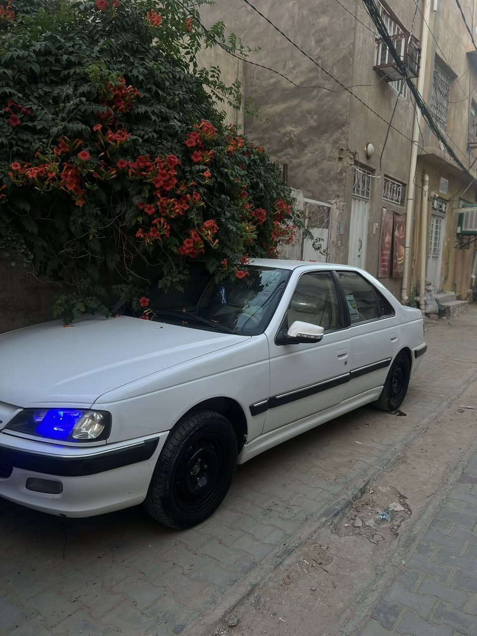 سلام عليكم سياره بيجو بارص للبيع 2023.كفاله عمه تبريد وي سويج ❄️❄️..كشنات كهربائي دوشمه جديده بجيس.دوخله كارتون .سياره جاهزه ع آخر حبه ..رجاااً المو شراي لا يخابر
سعر 80$وبيه مجال حك الجيه 
المكان بصره الزبير (***********)
