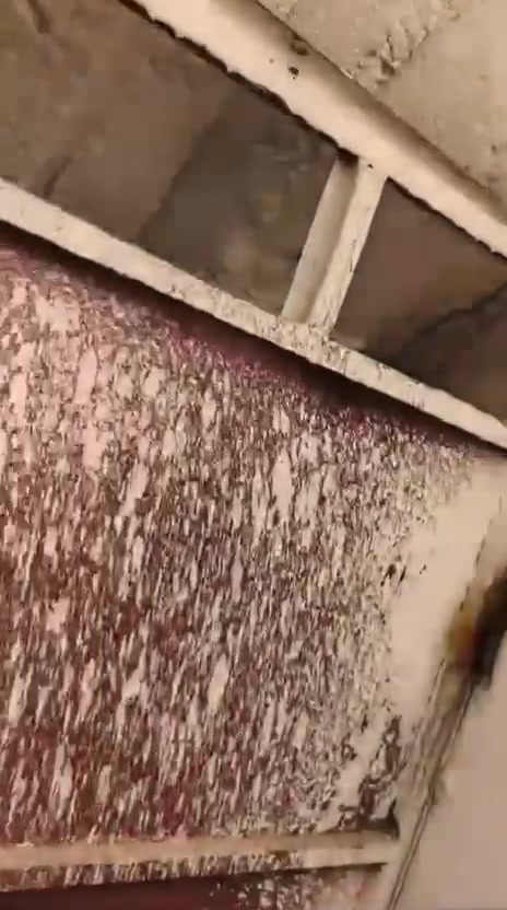 بيت للبيع في التنومه
الصالحيه  حي الامير على شارع ١٢ متر تبليط  المساحه 100 م 
غرفه و ستقبال ومطبخ و صحيات و صاله السعر ٤٥ وبي مجال
***********
