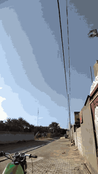 سلام عليكم من رخصت مديرالكروب دراجه ٢٠٠١للبيع شاصي مكفول كهرباءيات شغاله دراجه عوزه ترتيب كلش بصيط السعر عله هاذه الرقم ***********
