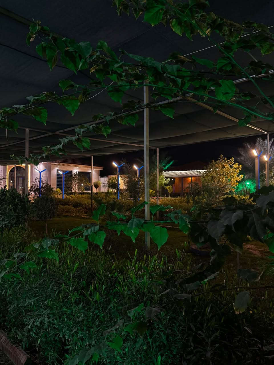 متوفرة ڤيلا العمده للايجار اليومي والشفتات  للعوائل 🏠 
*ملاحظه المزرعه موثقه من قبل تطبيق أجرلي 
تصميم عصري وواسع يضمن لكم لحظات مميزة
🌿اجوا طبيعية خلابة وجلسات متنوعة مع خصوصية تامة 
ونسة وراحة.  تجربة ماراح تنسوها
#كربلاء المقدسة /خلف جامعة العميد 

للاستفسار *********** Singapore
