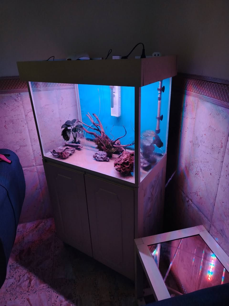 السلام عليكم للبيع حوض كامل مكمل يحتوي علي ماطور تصفية وشلال وشمهة وهيتر وكاونتر HDF  ولباقي كدام  عينكم مكانة بغداد الامين الثانية السعر 225 وبي مجال رقم الهاتف ***********
