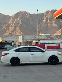 التيما • ٢٠١٦ • رانية