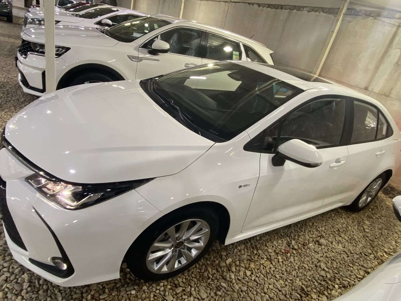 معرض سيد وسام المعموري بابل طريق حله نجف

يتوفر.  كورلا   2025 شكل  الخليجي.   هايبرد 

فتحه.            ماشيه 19

     كفاله عامه رقم بابل انكليزي جديد

محرك 1800 المرغوب       السعر 154

بصمه دخول ذكي

مثبت سرعه.                         كروس

شاشه كبير.                           كاميرا 

مانع انزلاق 

حساس امامي خلفي 

تحكم مقود

ويل كب 

رادار  

لايت زنوون عدسه

فووول سستم ايرباكات 

تبريد قطعتين

ABS

درايف مود 

انضمة قياده

تبريد لمس منفصل

لاستفسار 

***********
