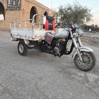 ستوته • أوراق كاملة • شغالة