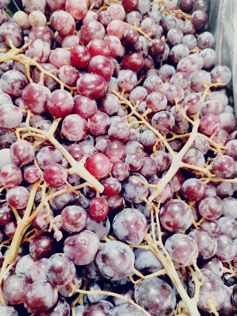 متوفر مسواك جديد وتوصيل موجود 
‏‪***********‬‏
منكا.🥭🥭    كيلو ب6000

نبك بصراوي كيلو.   ب5000

زنجبيل 🫚🫚كيلو. ب6000

رمان كيلو. 3000

ليمون 🍋كيلو 3000

عنب حلواني 🍇كيلو 3000

عنب اسود كيلو🍇 2000

موز كيلو🍌 1500
برتقال. كيلو🍊.  1500
تفاح احمر 🍎كيلو 1500
تفاح اصفر 🍏كيلو 1500
باذنجان 🍆 كيلو. 1500
ركي كيلو 🍉🍉1500

بطيخ كيلو.🍈 1500

رطب زاهدي كيلو 2500

لالنكي باكستاني 🍊كيلو 1500

رارنج كيلو 1500🍋‍🟩🍋‍🟩🍊🍊

لالنكي تركي🍊 كيلو 1250

جوز الهند 🥥قطعه 2000

ثوم وزن 🧄ابو الورك. الكيلو ب4000 الاف

ثوم شريط.🧄  1000

بصل🧅 750. 

طماطه. كيلو 🍅1000

شجر  كيلو 🥦1500

اذره عرانيص القطعه 1500

جزر 🥕🥕🥕1250

فلفل حار 🌶️🌶️كيلو ب4000

فلفل بارد🫑🫑.  1500

خياررر. كيلو 1250🥒🥒

🍐عرموط كيلو. 2000

فراوله.🍓🍓 قطعه 1500

🥝كيوي. كيلو 2000🥝🥝

🫛باجله كيلو. 1250

باجله مفلسه 🫛كيلو 3500

بتيته🥔. شحميه كيلو 1000

لهانه حمره كيلو 1000

لهانه بيضه كيلو. 1000
