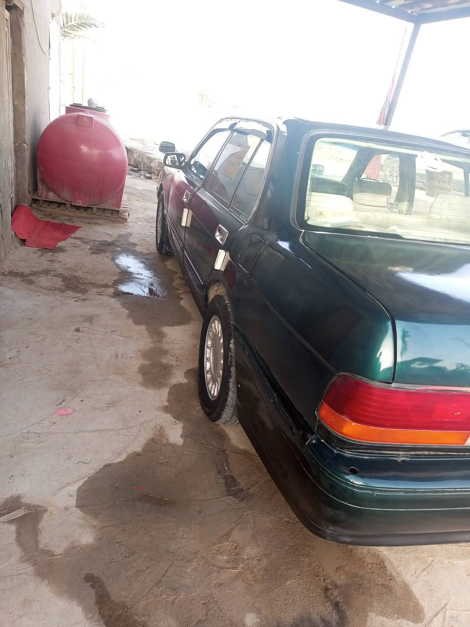 سلام عليكم ارنب طويل للبيع ايسر بلاد مكفوله من الكصه والعيب شرعي ونقل جثه  مكينه ثنين ونص نص عمر 
 سنويه نافذه وراعيه يريد تحويل رقم انبار مشروع وطني مكاني ناصريه سوق الشيوخ 
ما متواجد على الفيس 
السعر 45 وبيها مجال 
***********
