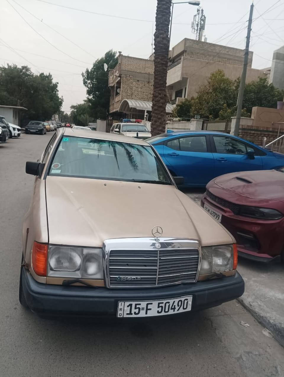 مارسيدس بنز موديل 88 مكفوله محرك وكير وهيكل بلادي السعر 75 ورقه جميع الاجزاء شغاله.جام كهرباء تجوه كهرباء كراسي كهرباء صبغ بلاد حجم 300 دب
تلفون ***********....*********** بغداد, العراق
