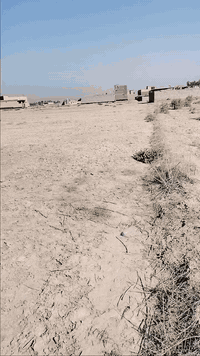 كاع بيت شفلاوي • ٢٥٠م • طابو زراعي