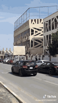 فينيه • سترة ١٤ • جاهزة