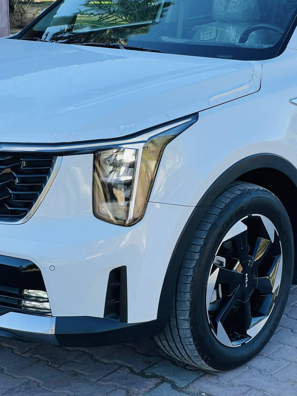 سلام عليكم سورنتو2024خليجي

مواصفات. (داتا شو)
بصمه+بصمه ابواب
كشن كهرباء
جنطه كهرباء
شاشه كمره
حساس امامي خلفي
لد نهاري
برده خلفيه
7راكب
4سلندرر
ماشيه22. الف كيلو سياره بعدهي جديده
مكفوله كفاله عامه
سعره275شراي يتصل


**إذا كنت صاحب هذا الإعلان وتريد حذفه لأي سبب، رجاءا أرسل رسالة إلى الدعم الفني**