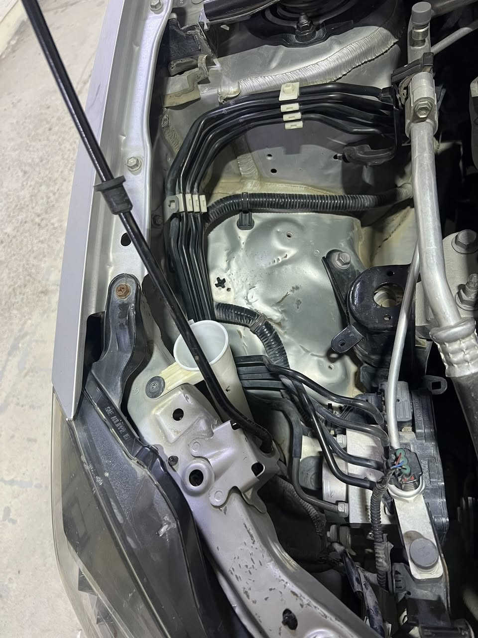 السلام عليكم كورلا2019LEحادث بصيط بدون ارباك فقط بارد بدون تبيل اي قطعه حجر رادار بدون ارباك ماشيه 115milصورالحادث مرفقه مع السونار شرط الفحص والسونار المكان ديالى 
*********** السعر مناسب
