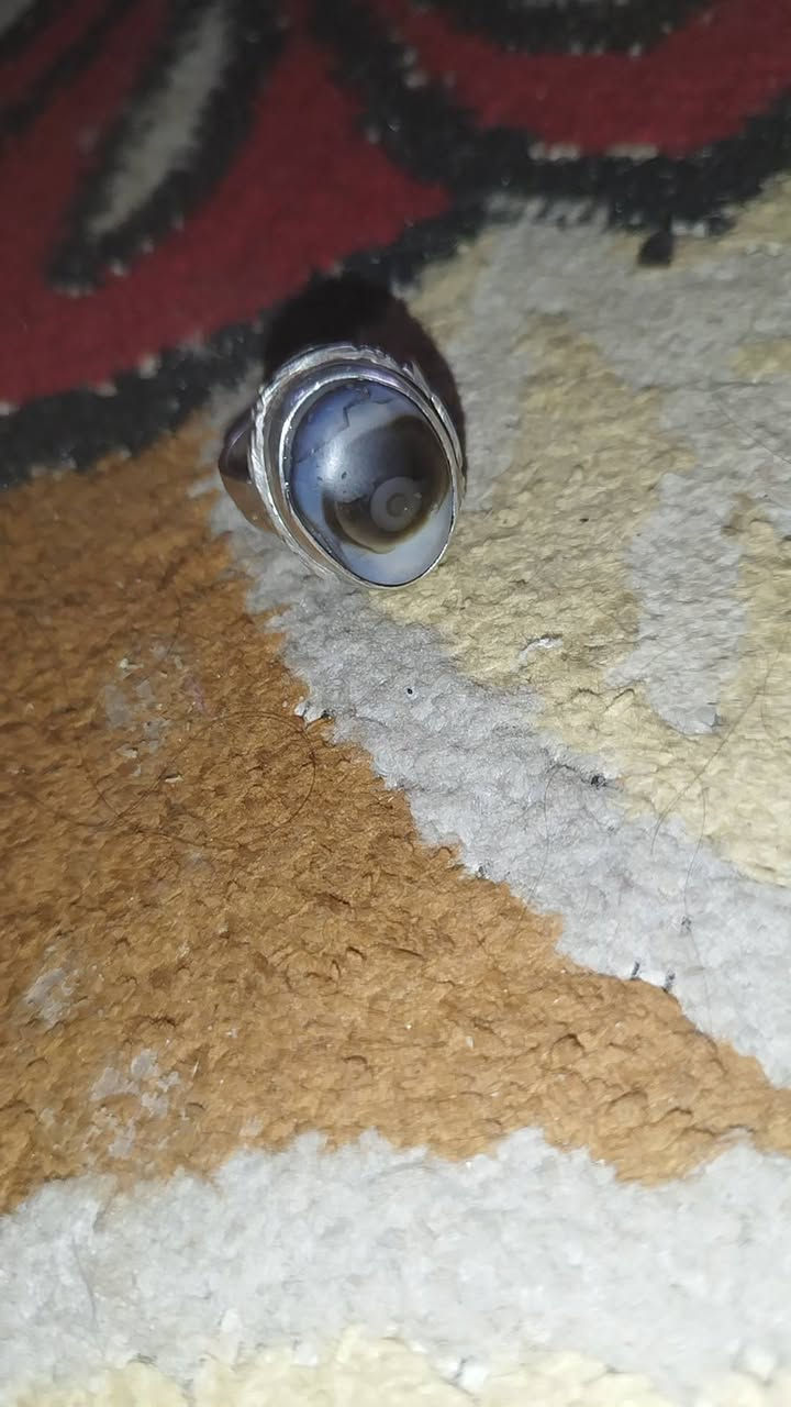 سليماني معطف مصور قديم قيم وخذ خالي


**إذا كنت صاحب هذا الإعلان وتريد حذفه لأي سبب، رجاءا أرسل رسالة إلى الدعم الفني**