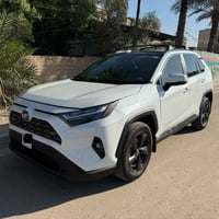 هايبرد • ٢٠٢٤ • ضرر بالصور