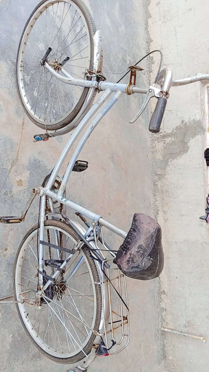 سلام عليكم بايسكل االبيع سعر 35


**إذا كنت صاحب هذا الإعلان وتريد حذفه لأي سبب، رجاءا أرسل رسالة إلى الدعم الفني**