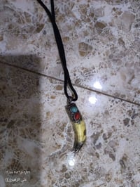 سن الذيب • اصلي • واسط دجيلي