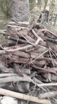 سلام عليكم خشب للبيع نص حمل او أقل ماعرف شوف كدام عينك اخضر ويابس ألسعر 180 .....***********
