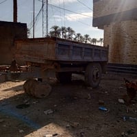 عنتر • ٧١مكفولة • عربانه