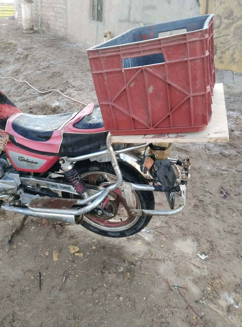 دراجة جوندا اوراق اصولي  موديل 19 على وضع الشركة وكفالة اذا مفتوح برغي بيها السعر 750 الف وبيها مجال للطيبين  مكانها الديوانية البدير 
الاستفسار الاتصال  ***********
