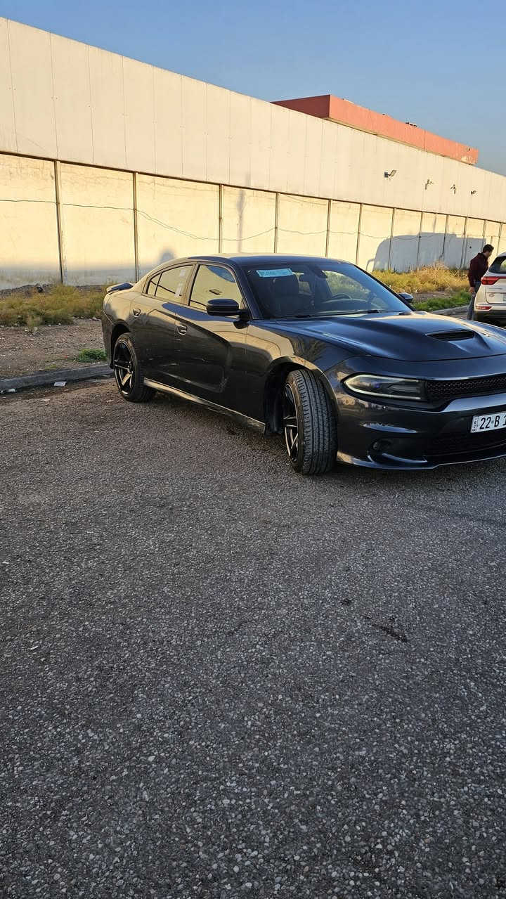 جارجر وراد كندي
موديل ٢٠١٩

رقم اربيل بأسمي 

تو ويل ٣٦٠٠

تحكمات ستيرن

مانع انزلاق

كشن سائق كهرباء

شاشة كبيرة

بصمة

ويل نجمة

حدادية جديد

تخم تاير جديد 

تبرد تدفئة مكفول

 

SRTمحدثة GTدعاميات وبنيد

مكفولة من لغد وشاصي هلال الجاملغات بيهن صبغ موجود تقريرها 

فقط بارد بسيط بلباب الخلفي

 مكان السيارة بغداد 

رقم الهاتف ***********
