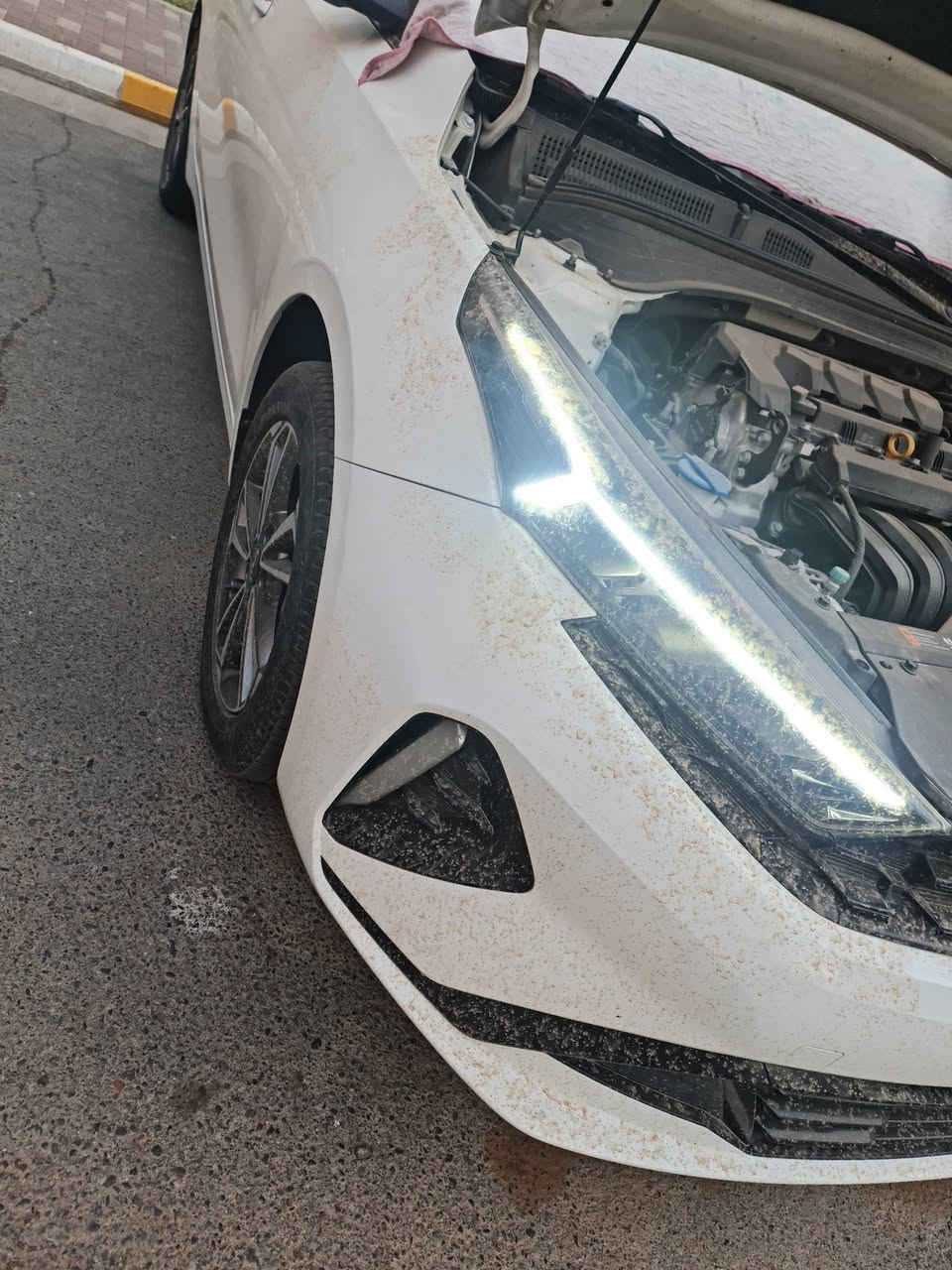 K3 موديل ٢٠٢٢ 
للبيع فقط 
السعر ١٣٨ $
مواصفات معروفة موديل ٢٢
رقم سليمانية تريد تحويل تريد وكالة 
مكفولة كير ومحرك وماشية ٣٨ الف كيلو
بيها طخة بالجاملغ صفحة السايق خفيفة ومامصلحة


**إذا كنت صاحب هذا الإعلان وتريد حذفه لأي سبب، رجاءا أرسل رسالة إلى الدعم الفني**