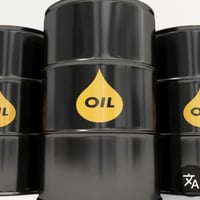 حصة نفط • ١٠٠ لتر