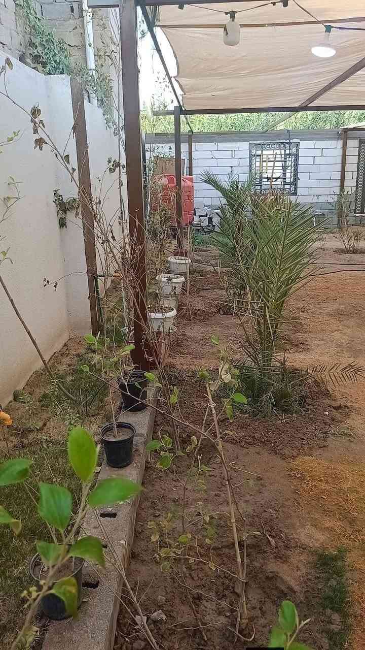 🌴 قطعة أرض مميزة للبيع – موقع هادئ وقريب من النهر
🔹 المساحة: 350 متر
📄 نوع الطابو: ملك صرف
📑 تحويل سهم بالطابو
⚡ كافة الخدمات متوفرة
🧱 الأرض مسيّجة بالكامل
📏 تبعد عن السايدين 250 متر
🏡 تحتوي على دار استراحة
• غرفتين
• استقبال
• البناء واصل حد الرباط
🌴 تحتوي على أنواع مختلفة من النخيل
📍 العنوان: أبي الخصيب – منطقة نهر خوز جهة شط العرب
💰 السعر: 100 مليون
🤝 بي مجال للجادين
📞 للاستفسار: ***********
✨ مكان مناسب للراحة أو السكن والاستثمار
