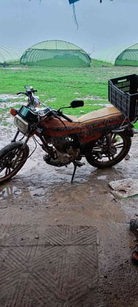 للبيع ممكن تواصل على وتساب 07701255638 وتصال خط07510419200