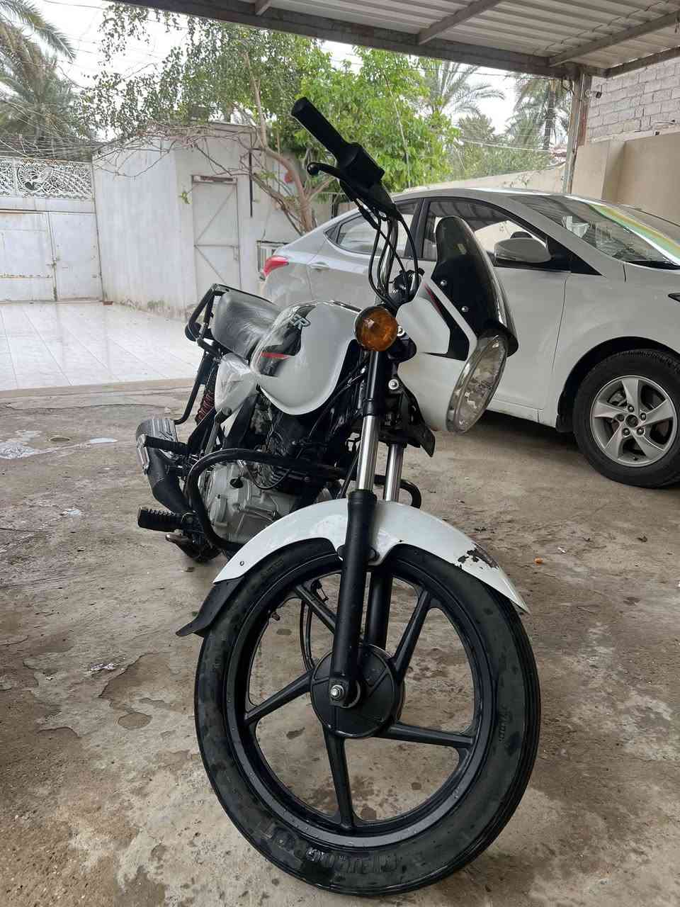 السلام عليكم شبابنه الطيبه دراجه بوكسر موديل 22 الدراجه كفاله عامه برغي ممفتوح بيه دراجه تفيسل ممفيسله وعدكم الحساب الدراجه باسمي تحويل ثاني يوم تفاصيل اكثر اتصل ع رقم *********** مكاني بعقوبه جسر خرنابات
