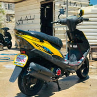 الربيع • واتساب • خاص
