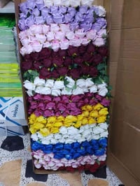 ورد سنكل • كارتون ١٢٠ غصن • قضاء النصر