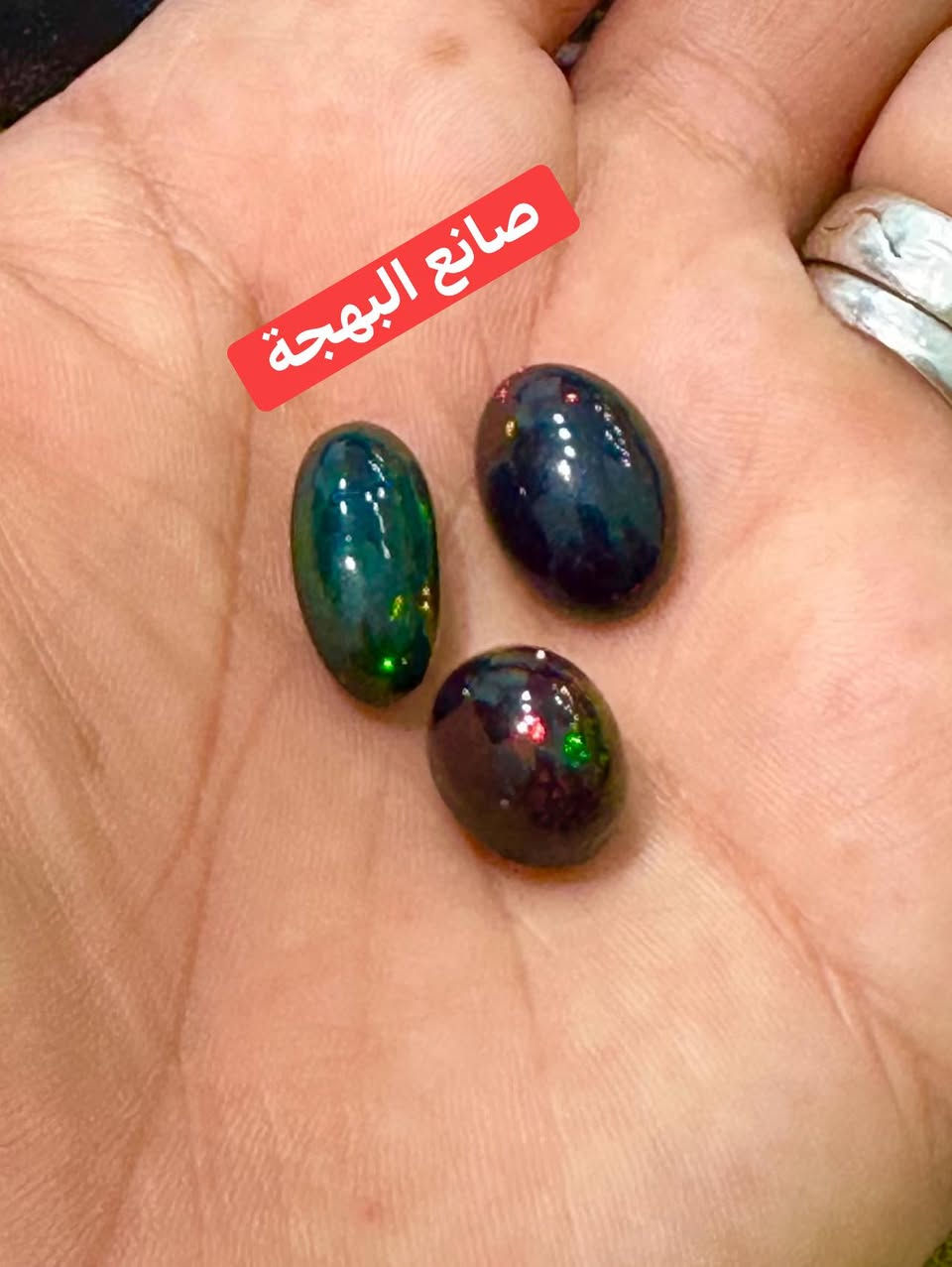 🌴🌴 صبحكم الله بالخير والبركة والرزق الحلال 🌴 

💎💎 شوية حلويااااات من زمن فااااااات 💎 💎 

💎 الأوبااااااال الفووووول فااااااير الأستراااالىً 💎 

#ورشة_أبوحازم_المجرى_٠١٠٦٠٧٠٥٠٤٢


**إذا كنت صاحب هذا الإعلان وتريد حذفه لأي سبب، رجاءا أرسل رسالة إلى الدعم الفني**