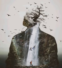 أربيل • معمل آيس كريم • إنتاج وتغليف
