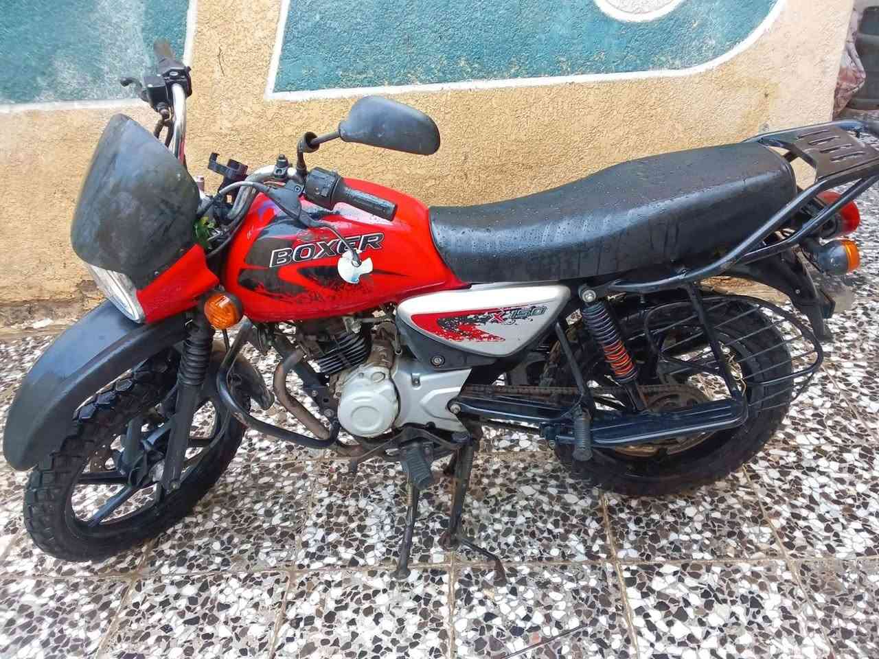 بوكسر مديل 22 مجفته مره وحده سنويه بس رقم ضاع باجر اطلعه السنويه باسمي دراجه مثل مشوفون بصوره نضيفه وصوت المحرك ناعم غلاف الزنجيل اني مؤخره بس عندي موجود سعر 1500  وتجي تستلم وتحويل مباشر الشراي يتصل أو يراسل وتساب
***********
