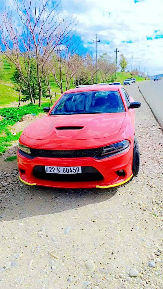 دوج جی تی جارجر dodge gt مودیل 2021 رقم اربیل سنویە جديد باسمي تحويل بشرط ماشه ٦٠مايل كير ومحرك بشرط تبريد وكلشي بشرط ٢قطع ونص به صبغ بدون داخلي جملغ وباب ونص جملغ خلفي جهة يمين بدون إرباك إرباك سليمة سقف فوك سائق به قوب بسيط  سعر ٢٢٥$ وبه مجال. عنوان اربيل 
واتس اب.    ***********
تلفون           *********** أربيل, العراق
